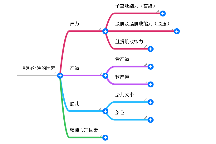 胎儿附属物思维导图图片