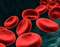 血液组成及血细胞生理功能相关考点练习题